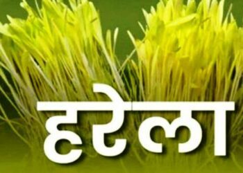 हरेला की हरियाली बनाम धूसर यथार्थ: उत्तराखंड की हरित रस्म और वन विनाश का अंतर्विरोध