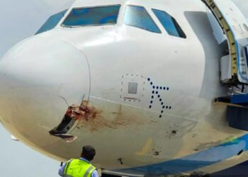 IndiGo Plane Emergency Landing: IndiGo Plane से हवा में टकराया पक्षी, पटना में Emergency Landing, जानिए कैसे बची 175 यात्रियों की जान