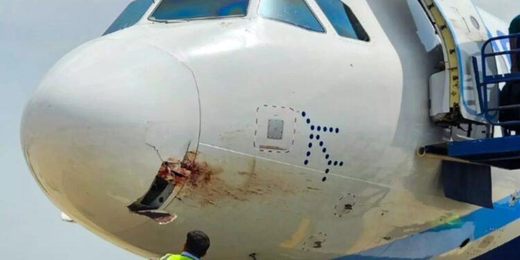 IndiGo Plane Emergency Landing: IndiGo Plane से हवा में टकराया पक्षी, पटना में Emergency Landing, जानिए कैसे बची 175 यात्रियों की जान