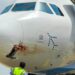 IndiGo Plane Emergency Landing: IndiGo Plane से हवा में टकराया पक्षी, पटना में Emergency Landing, जानिए कैसे बची 175 यात्रियों की जान