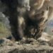 Landmine Blast Near LoC in Poonch: पुंछ में LOC पर लैंडमाइन ब्लास्ट: अग्निवीर शहीद, दो जवान गंभीर, जानिए कैसे हुआ हादसा?