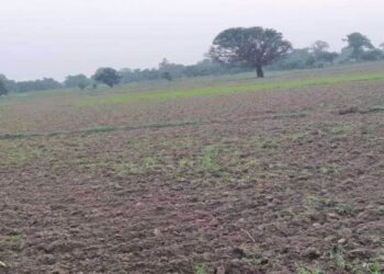 Bihar Chakbandi News: चकबंदी वाले गांवों में अब मिलेगा असली मालिक को मुआवजा! बिहार सरकार का बड़ा फैसला