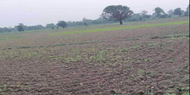 Bihar Chakbandi News: चकबंदी वाले गांवों में अब मिलेगा असली मालिक को मुआवजा! बिहार सरकार का बड़ा फैसला
