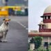 SC का बड़ा आदेश: अब राज्यों पर होगी जिम्मेदारी, 70% कुत्तों की नसबंदी और टीकाकरण अनिवार्य