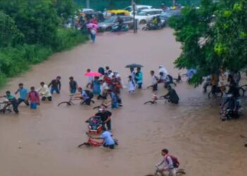 Punjab Floods 2025: 2.56 लाख लोग प्रभावित, 15 हजार से ज्यादा सुरक्षित निकाले गए – अब तक 29 की मौत