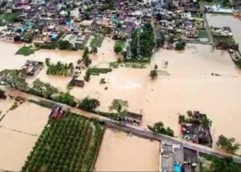 Punjab Floods 2025: 22,854 लोग सुरक्षित निकाले गए, 46 मौतें – फसलें डूबीं, हालात गंभीर