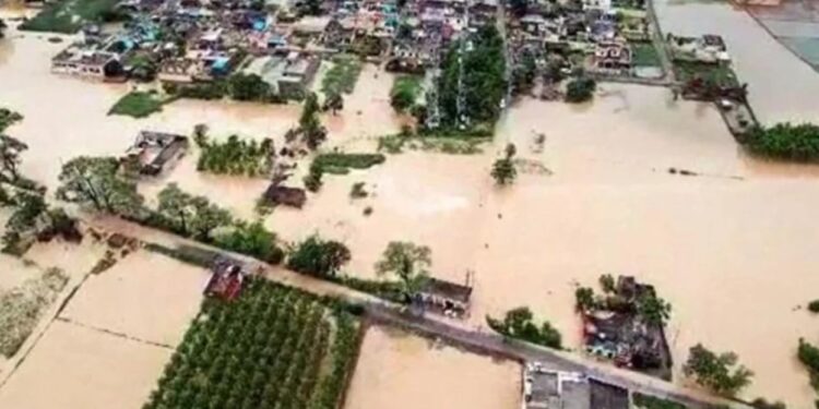 Punjab Floods 2025: 22,854 लोग सुरक्षित निकाले गए, 46 मौतें – फसलें डूबीं, हालात गंभीर