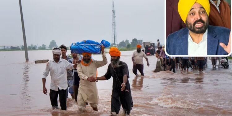 पंजाब बना देश का नंबर-1 राज्य, किसानों को मिला अब तक का सबसे बड़ा मुआवज़ा – ₹20,000 प्रति एकड़!