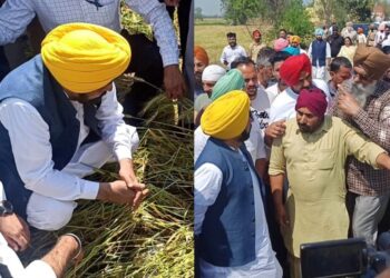 Punjab Flood Relief: CM मान का बड़ा ऐलान – विशेष गिरदावरी से हर किसान को मिलेगा मुआवज़ा, बीज-खाद भी मुफ्त