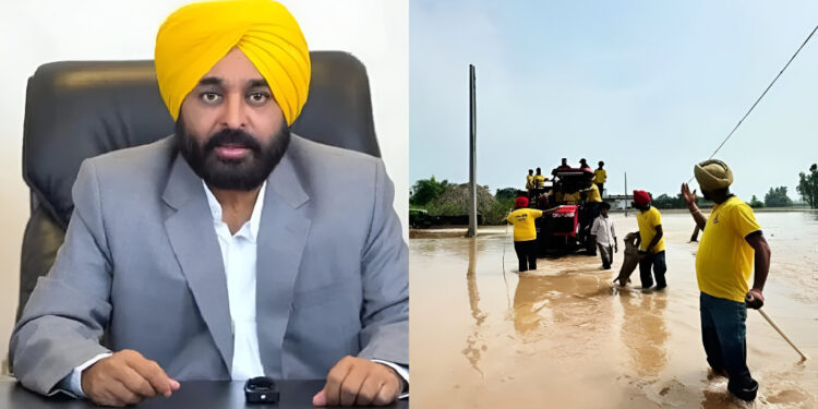 पंजाब सरकार का बेमिसाल ऐलान: बाढ़ पीड़ित किसानों को अब ₹20,000 तक मुआवज़ा, 15 अक्टूबर से मिलेंगे चेक