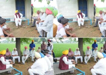 ‘अपना CM – अपने खेता विच’: जब भगवंत मान खुद पहुंचे खेतों में और 48 घंटे में सुलझाईं किसानों की शिकायतें