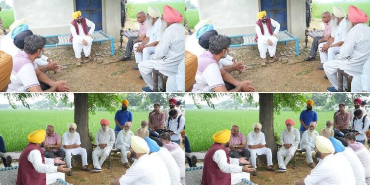 ‘अपना CM – अपने खेता विच’: जब भगवंत मान खुद पहुंचे खेतों में और 48 घंटे में सुलझाईं किसानों की शिकायतें