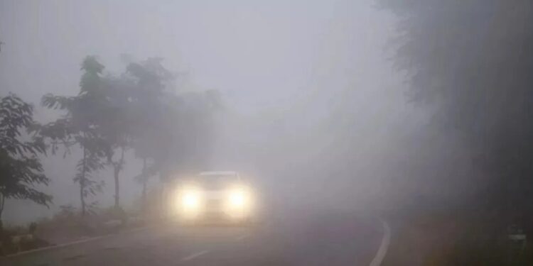 IMD Weather Report: उत्तर भारत में शीतलहर तेज, दक्षिण में भारी बारिश का अलर्ट