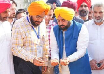 Punjab News: मान सरकार का कमाल! 150 लाख मीट्रिक टन धान खरीद का रिकॉर्ड, 11 लाख किसानों को मिला ₹34,000 करोड़ का भुगतान
