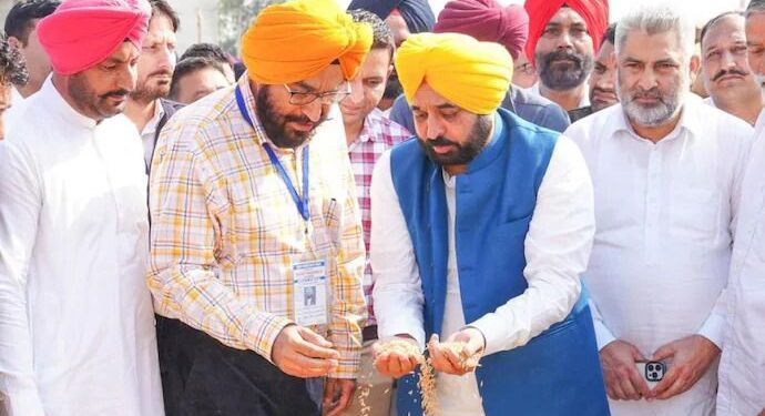 Punjab News: मान सरकार का कमाल! 150 लाख मीट्रिक टन धान खरीद का रिकॉर्ड, 11 लाख किसानों को मिला ₹34,000 करोड़ का भुगतान