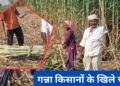 राज्य में हुई 351 क्विंटल हुई गन्ना की खरीद- 85 फीसदी से अधिक हुआ गन्ना किसानों डेय राशि का भुगतान