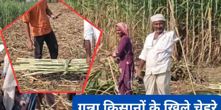 राज्य में हुई 351 क्विंटल हुई गन्ना की खरीद- 85 फीसदी से अधिक हुआ गन्ना किसानों डेय राशि का भुगतान
