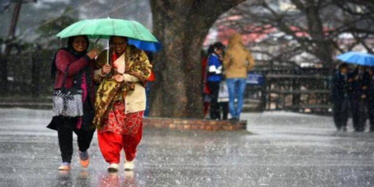 Delhi Weather: नए साल पर ठंड, कोहरा और बारिश ने बढ़ाई परेशानी