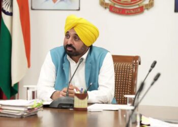 2025 में पंजाब प्रशासन में बड़ा डिजिटल बदलाव: 1.85 लाख लोगों को घर बैठे मिलीं 437 सेवाएं, मान सरकार ने खत्म किया दफ्तरों का चक्कर