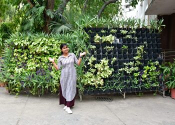 वर्टिकल गार्डनिंग: छोटे घरों में हरियाली और बेहतर सेहत का आसान तरीका