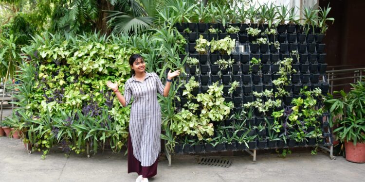 वर्टिकल गार्डनिंग: छोटे घरों में हरियाली और बेहतर सेहत का आसान तरीका