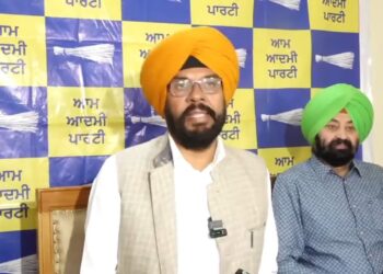 शहीदों की धरती संगरूर को दीमक कहना बाजवा की घटिया मानसिकता: कुलदीप धालीवाल