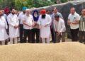 पंजाब की मंडियों में 28 लाख मीट्रिक टन गेहूं की आमद, 24 लाख मीट्रिक टन से अधिक की खरीद : लाल चंद कटारूचक्क