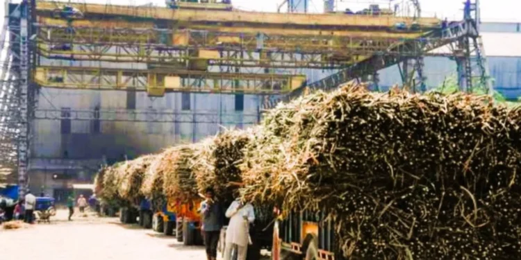 बिहार के गन्ना किसानों के लिए गुड न्यूज़: बंद चीनी मिलें होंगी चालू, नए सचिव धर्मेंद्र सिंह ने संभाला कार्यभार