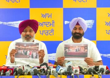 नितिन नबीन के पंजाब दौरे के दौरान भाजपा की दलित-विरोधी मानसिकता हुई बेनकाब, पार्टी कार्यक्रम में एससी नेताओं का किया अपमान: हरपाल सिंह चीमा